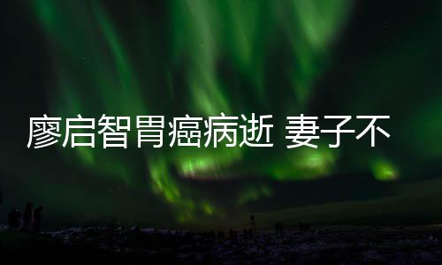 不眠不休妻子癌病智胃最后廖启逝 送他一程